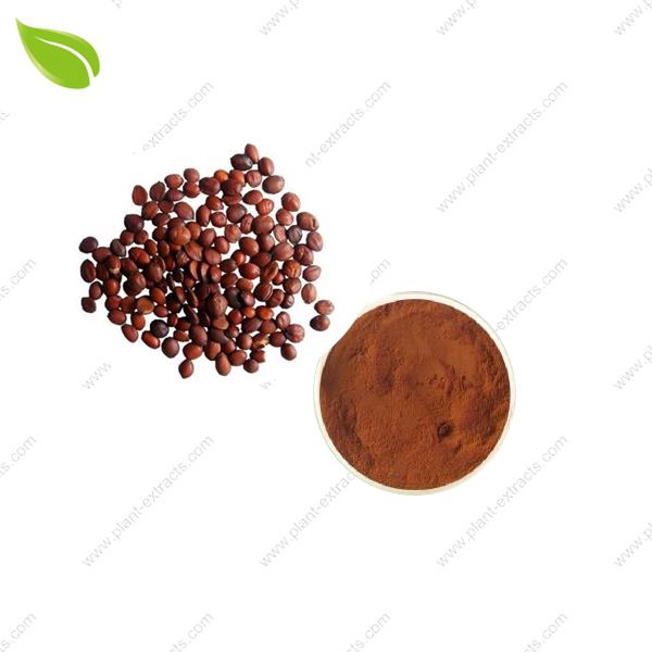 Spine Date Seed Extract