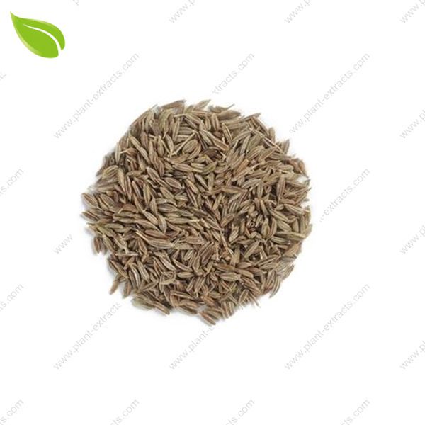 Cumin Seed Extract